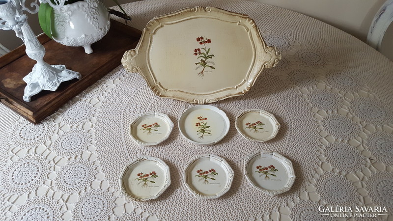 Painted herbal wooden tray with coasters