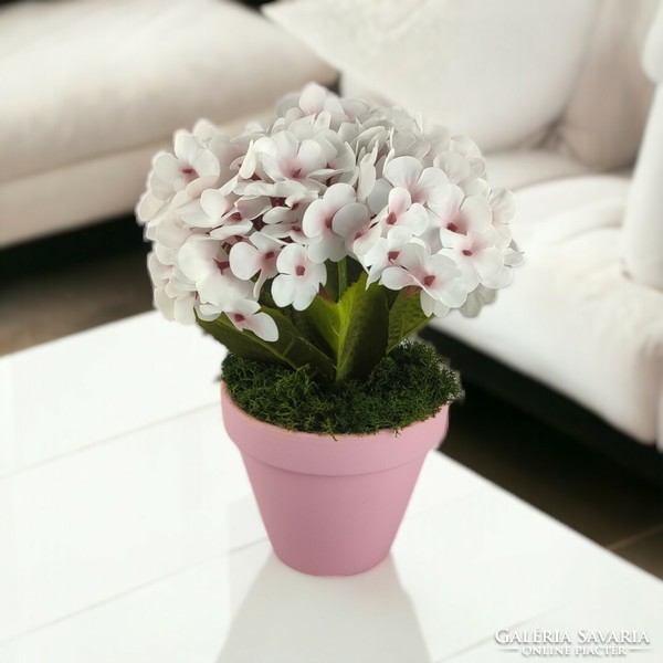 Pink, white hydrangea in pot hor301fhrs