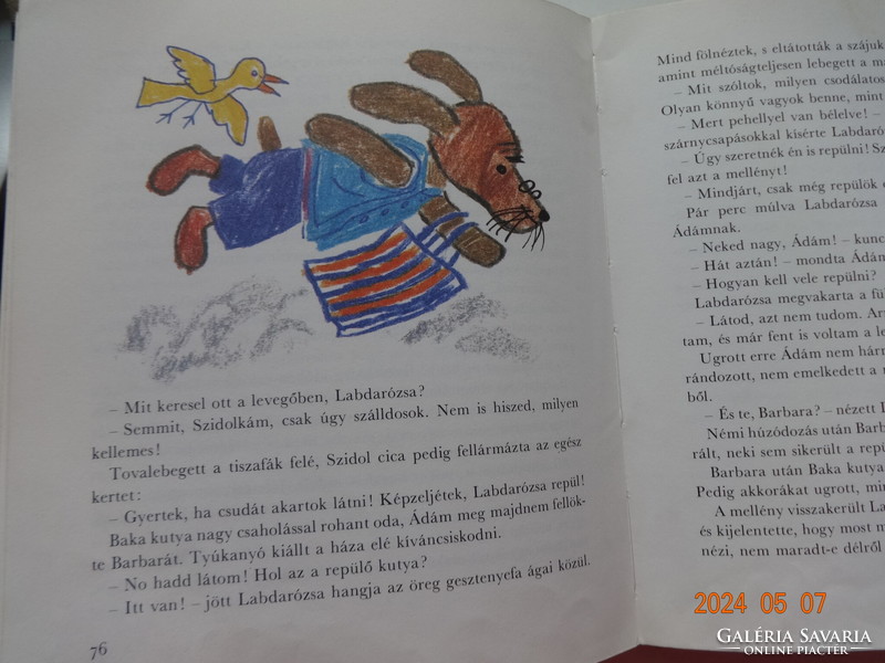 Bálint Ágnes: Labdarózsa lámpája - régi mesekönyv Reich Károly rajzaival
