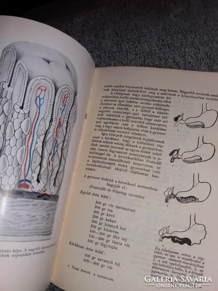 1943.Tangl Harald : A táplálkozás orvosi könyv a képek szerint KIRÁLYI MAGYAR T.T.T.