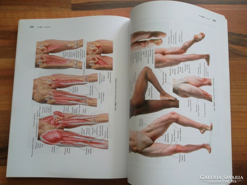 James h. Clay | david m. Pounds Basic Clinical Massage Therapy - Anatomy and Treatment Inte