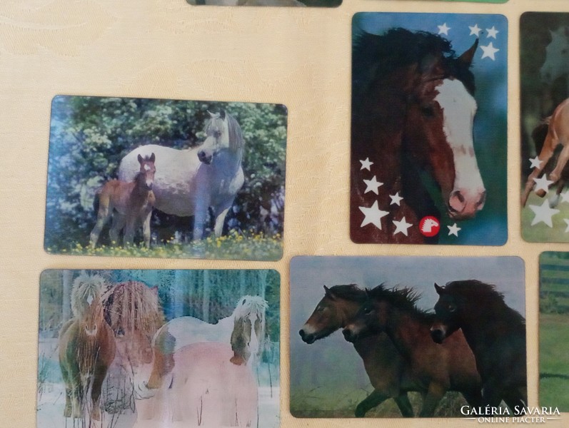 Pony club pony club holographic card album with 15 horse information cards