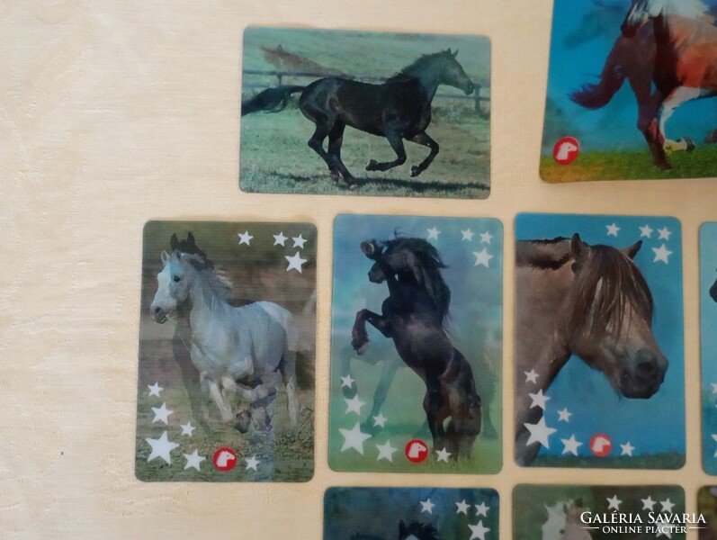 Pony club pony club holographic card album with 15 horse information cards