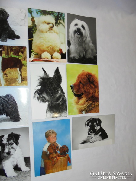 Nine retro, post-clean dog postcards and a written one - together