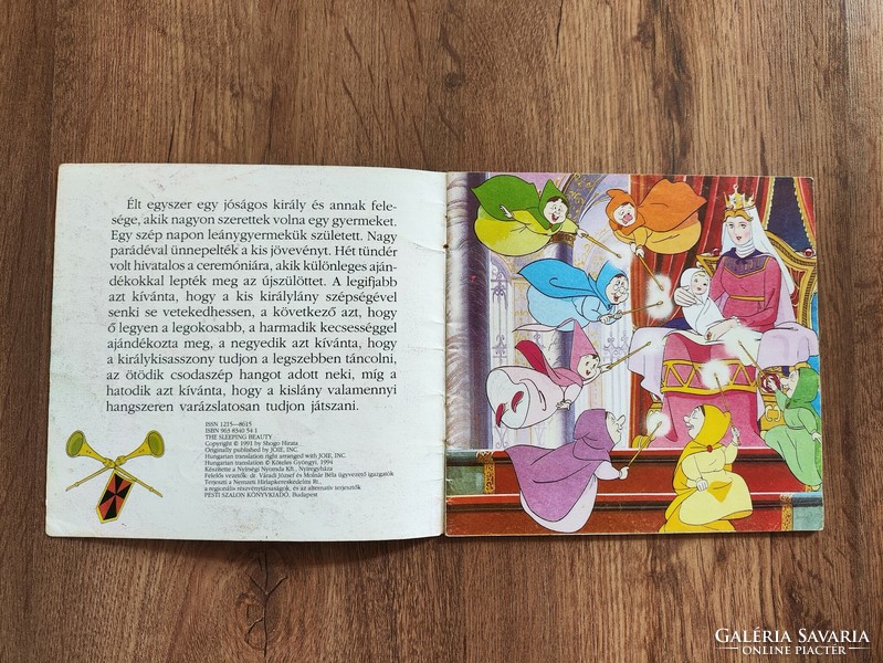 Narrative pamphlets of the Pest salon 27. Sleeping Beauty 1994