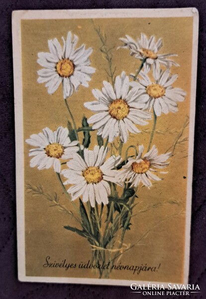 Régi virágos képeslap 7 (M4713)