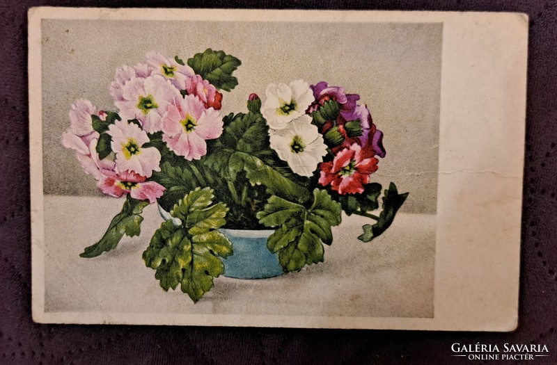 Régi virágos képeslap 10 (M4716)
