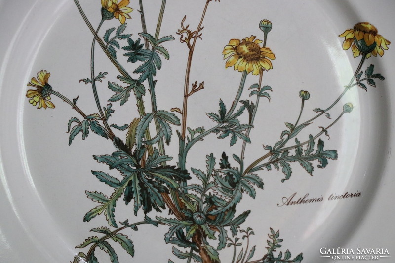 Villeroy Botanica lapos  tányér