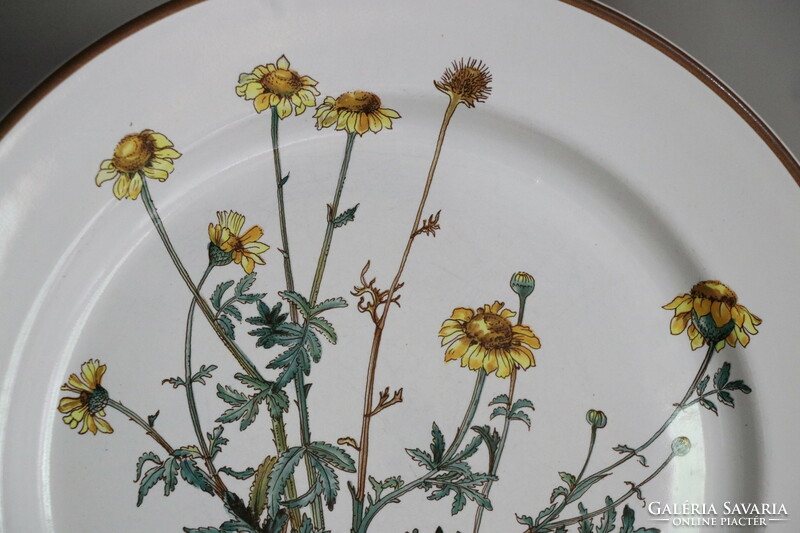 Villeroy Botanica lapos  tányér