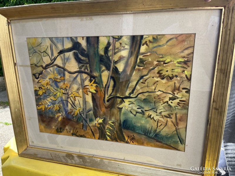 Lukács Ágnes :őszi erdő Akvarell papír technikával jelzet