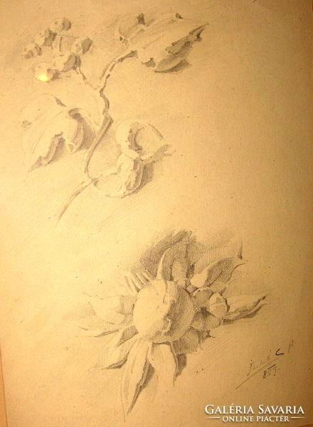 1889 guaranteed original Edvi-illes aladár / 1870-1958/ : flowers