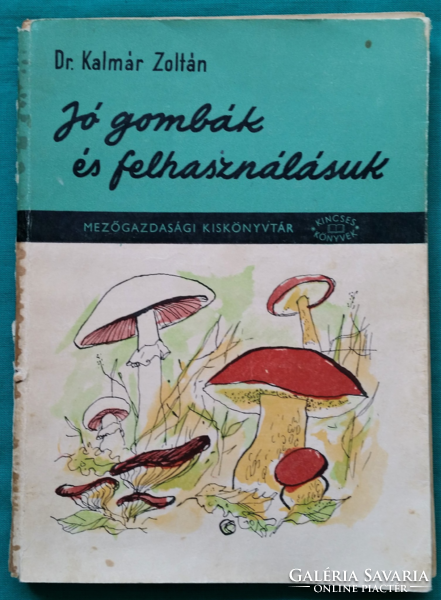Dr. Kalmár Zoltán: Jó gombák és felhasználásuk > Növényvilág > Gombák a természetben >