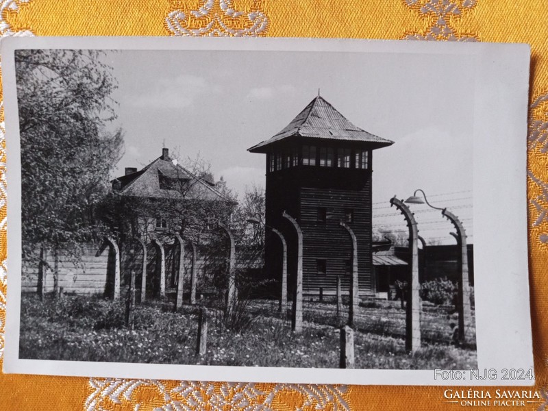 Auschwitz, original Polish, marked photo sheet 3.