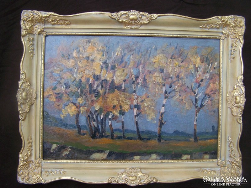 Nagybánya painter xx. Beginning of the century: birch trees