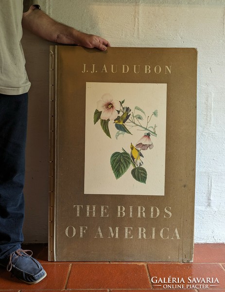 J.J. Audubon- The Birds Of America    Lipcsei kiadás (1972) német és angol nyelvű
