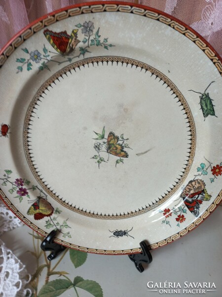 Minton& Co Butterflay antik fajansz tányér
