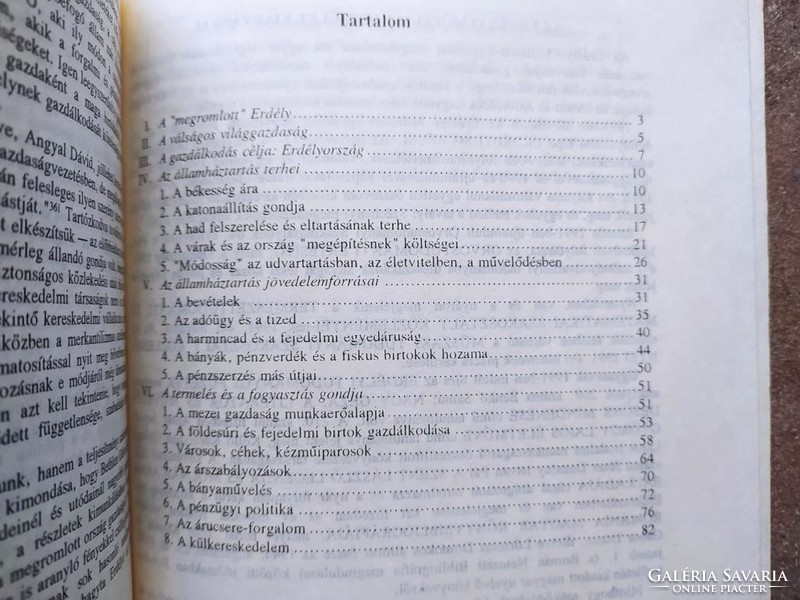 Imreh István - A fejedelmi gazdálkodás Bethlen Gábor idejében