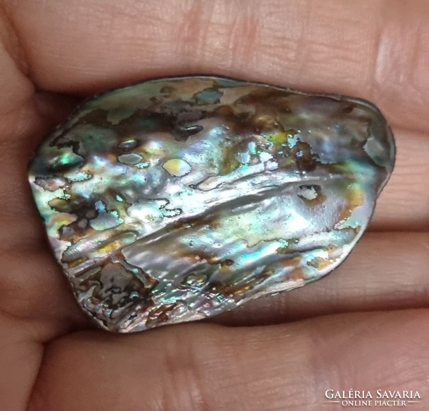 Abalone paua páve színjátszós kagyló bross kitűző