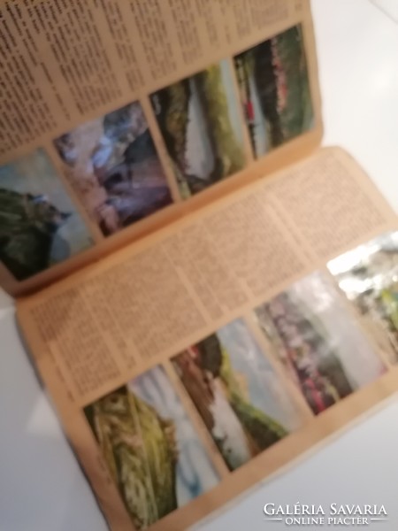 Utazás Erdélyben - Cikóriagyár gyűjtőalbum képekkel TELJES!!!!