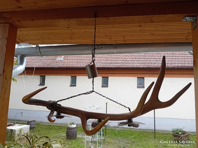 Régi szarvas agancs csillár 97 cm