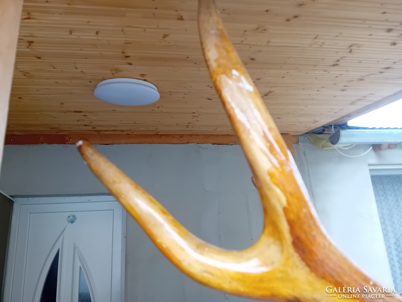 Régi szarvas agancs csillár 97 cm