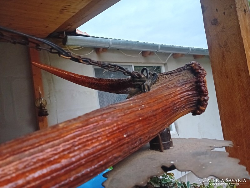 Régi szarvas agancs csillár 97 cm