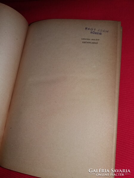 1955. Lengyel Balázs: Ezüstgaras regény KASS JÁNOS rajzaival könyv a képek szerint IFJÚSÁGI
