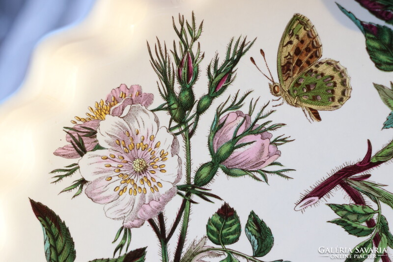 Portmeirion Botanic Garden kutyarózsás sütőtál