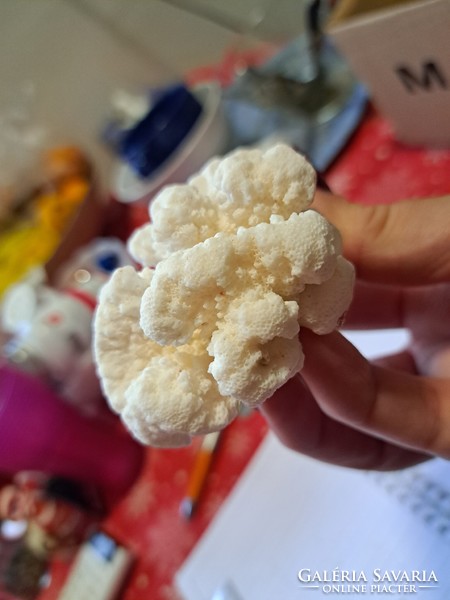 Eredeti fehér korall  10 cm Indonezia/ Dél- kínai tenger