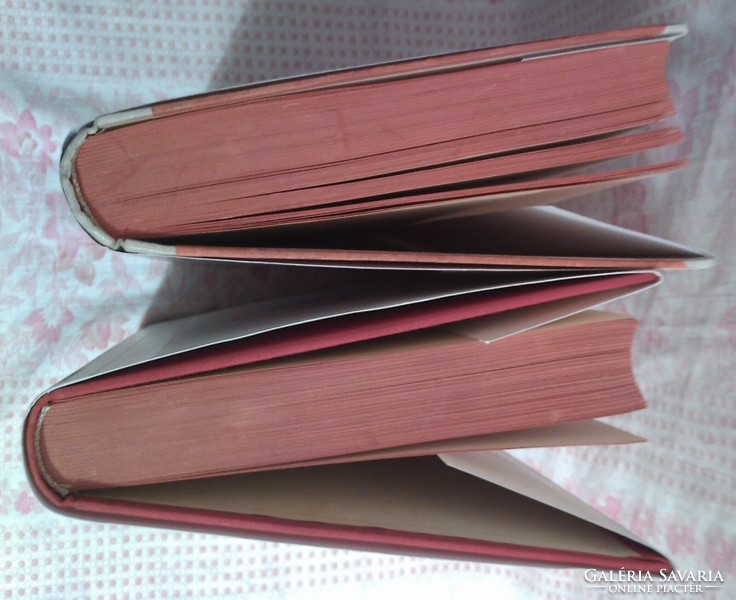 Adolf HItler Mein Kampf 1925/1927 Volume 1+2