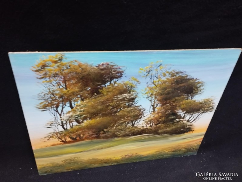 Marosán László - Akácok olaj, farost festmény 30x40 cm
