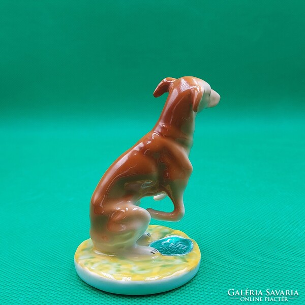 Retro  Kolozsvári Zsolnay/ Iris Cluj porcelán kutya figura