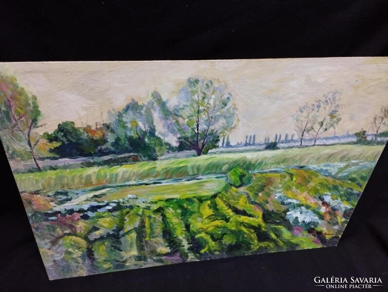 Monos József - Tavaszi kertek olaj, farost festmény 50x70 cm