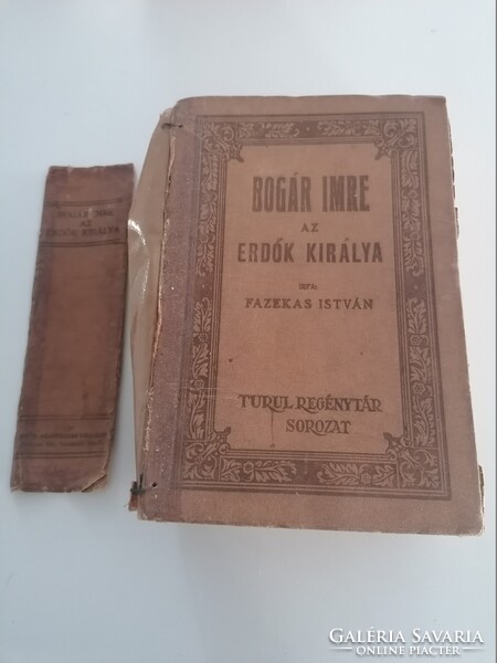 Fazekas István: Bogár Imre az erdők királya 1928