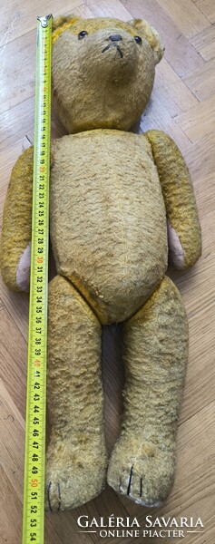 Misu Maci a nevem a mézet nagyon szeretem,Teddy mackó régi szalma töltelékes. Videó !