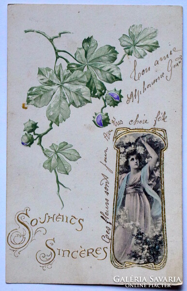 Antik szecessziós dombornyomott képeslap  - vadgesztenye