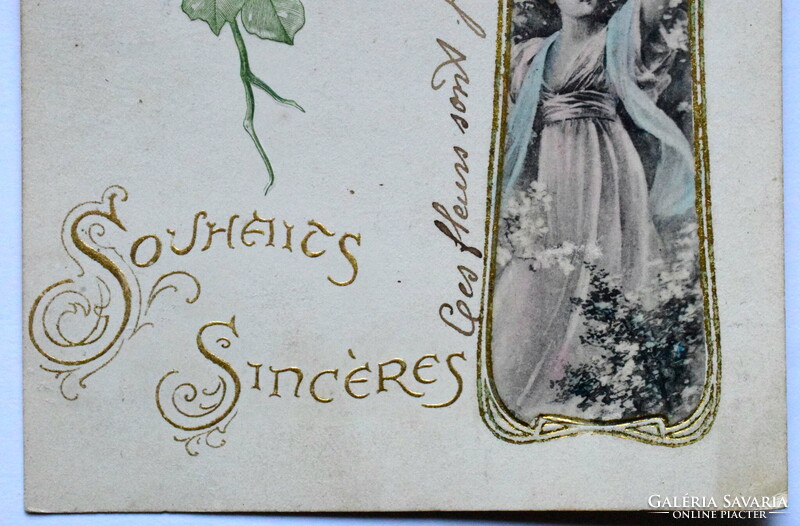 Antik szecessziós dombornyomott képeslap  - vadgesztenye