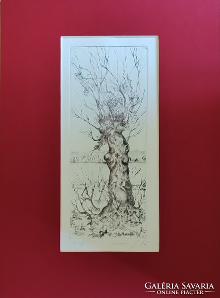 Kolozsvári Grandpierre Miklós: Fűzfa