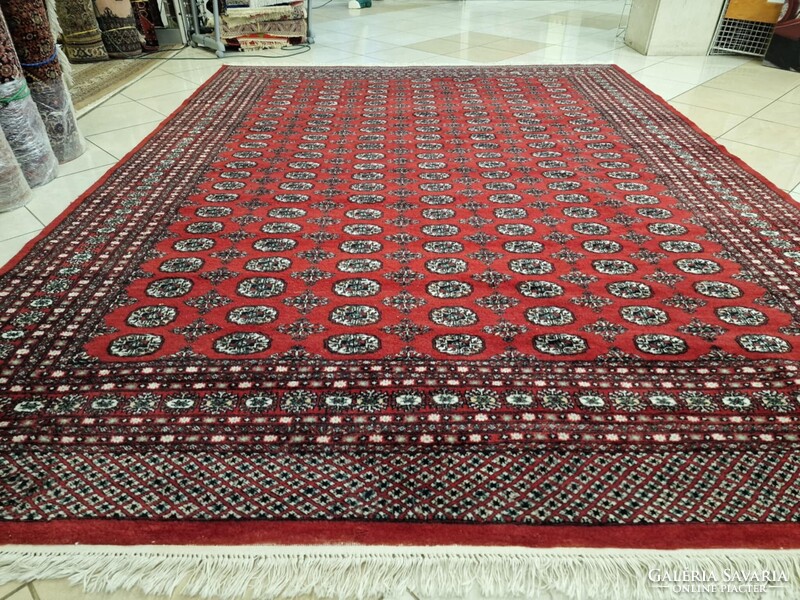 Újszerű pakisztáni bokhara-tekke 250x350 kézi gyapjú perzsa szőnyeg. KP02
