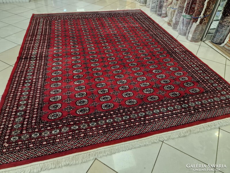 Újszerű pakisztáni bokhara-tekke 250x350 kézi gyapjú perzsa szőnyeg. KP02
