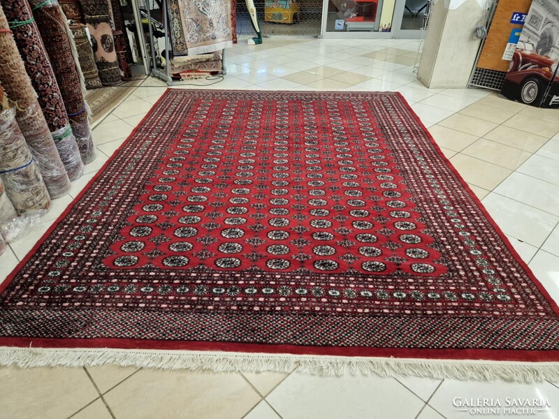 Újszerű pakisztáni bokhara-tekke 250x350 kézi gyapjú perzsa szőnyeg. KP02