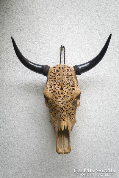 XL Bivaly koponya - kézzel vésett