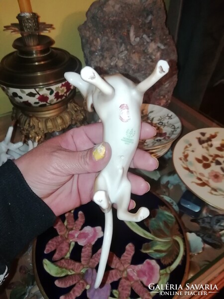 Hollóházi porcelán tacskó