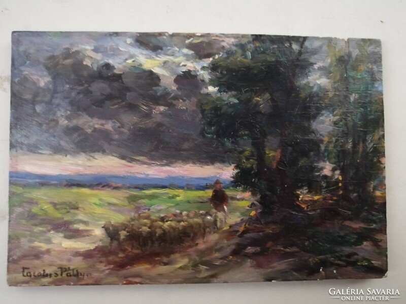 PÁLLYA CAROLUS /1875-1949/ - BIRKÁKAT TERELŐ JUHÁSZ