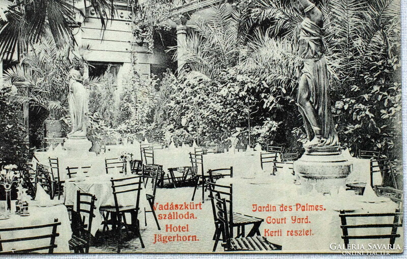 Vadászkürt Szálloda, Hotel  - Kerti részlet, pálmakert - Bp,  Türr István u,  - antik képeslap
