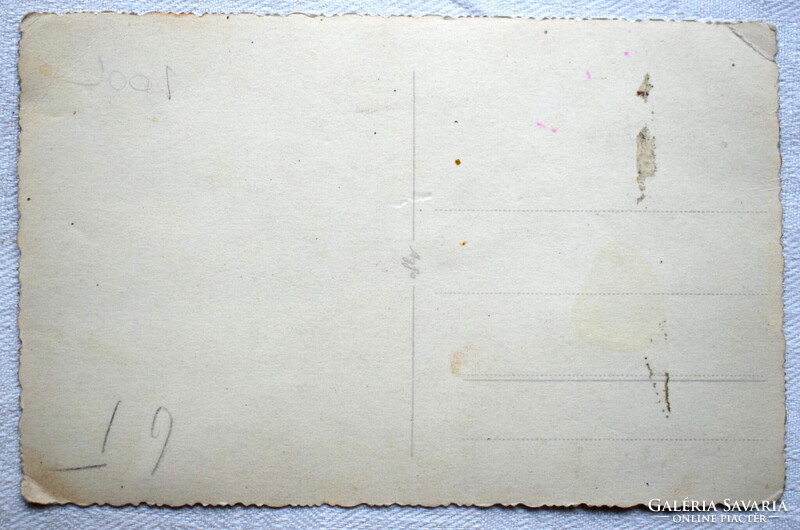 Régi fotó képeslap  - katona lovával