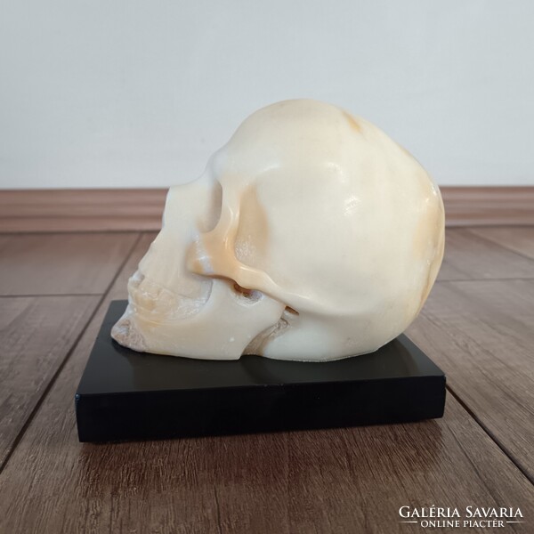 Antik alabástrom faragott koponya / Memento mori