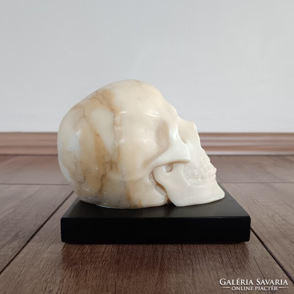 Antik alabástrom faragott koponya / Memento mori