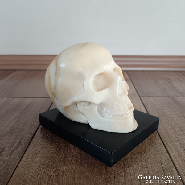 Antik alabástrom faragott koponya / Memento mori