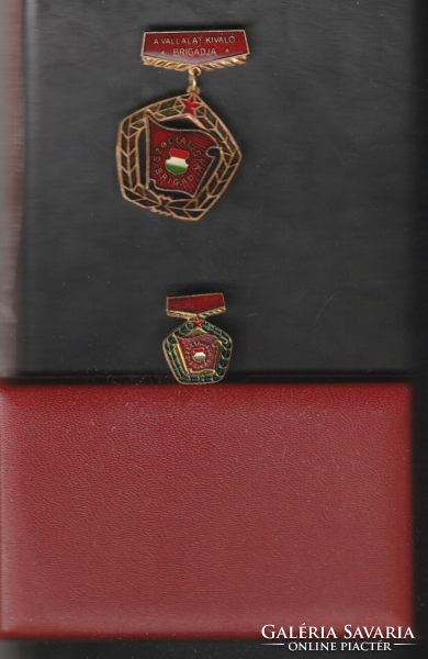 A vállalat kiváló brigádja, Szocialista brigád kitüntetés.